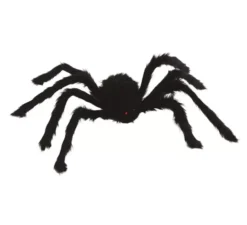 Ragno peloso 70 cm