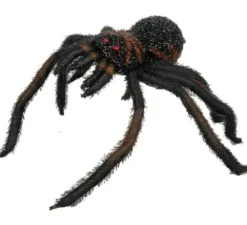 Ragno peloso dagli occhi rossi 60 cm