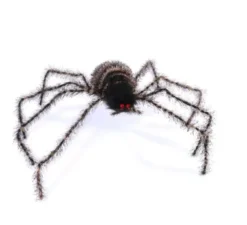 Ragno peloso dalle gambe lunghe 70 cm