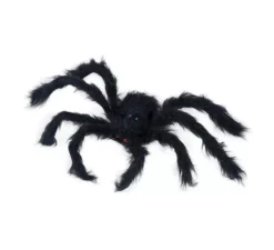 Ragno peloso nero di 50 cm