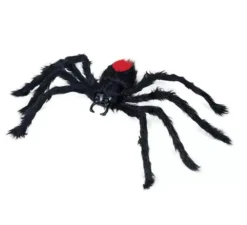 Ragno peloso nero dorso rosso 60 cm