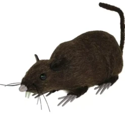 Ratto bruno da 15 cm