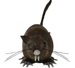 Ratto bruno da 15 cm