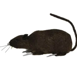 Ratto bruno da 15 cm