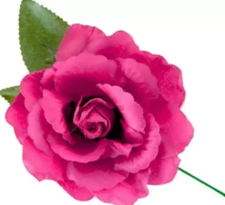 Rosa Sevillana o Chulapa con stelo da 13 cm in vari colori