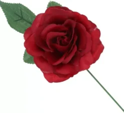 Rosa Sevillana o Chulapa con stelo da 13 cm in vari colori