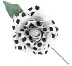 Rosa Sivigliana con Pois Neri e Stelo 15 cm in diversi colori