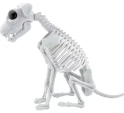 Scheletro di cane