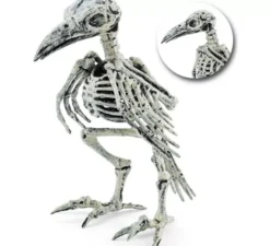 Scheletro di corvo