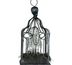 Scheletro di gufo in gabbia con suono, luce e movimento, 33 cm