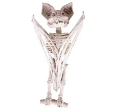 Scheletro di pipistrello 27x11x7 cm