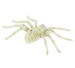 Scheletro di ragno 24 cm