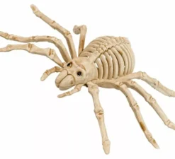 Scheletro di ragno spaventoso da 24 cm