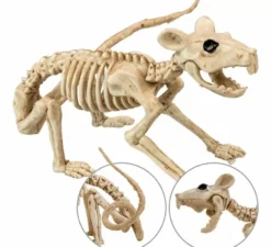 Scheletro di ratto da 40 cm