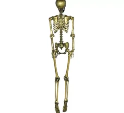 Scheletro d'oro 90 cm