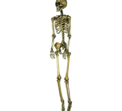 Scheletro d'oro 90 cm