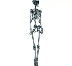 Scheletro in argento 160 cm