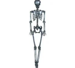 Scheletro in argento 90 cm