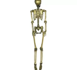 Scheletro in oro 160 cm