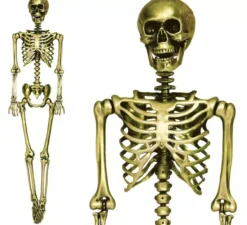 Scheletro in oro 160 cm