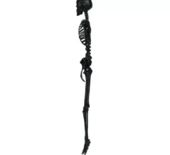 Scheletro nero 90 cm