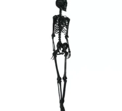 Scheletro nero 90 cm