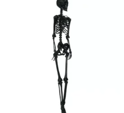 Scheletro nero 160 cm