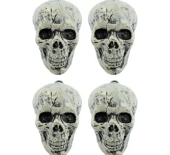 Set di 4 teschi
