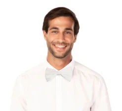 Spettacolo di papillon in vari colori