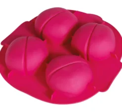 Stampo per 4 Brain Cookies 16x16 cm