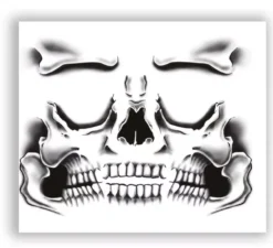 Tatuaggio scheletro facciale 30x14 cm