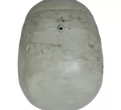 Teschio 20 cm