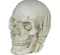 Teschio in resina da 6 cm