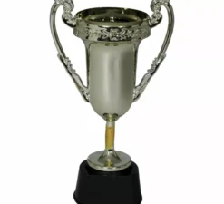 Trofeo d'argento Nº1 da 20 cm
