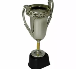 Trofeo d'argento Nº1 da 20 cm