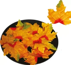 Zucche arancioni con 24 foglie